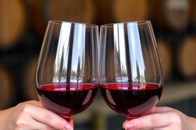 Cata de vinos en La Rioja